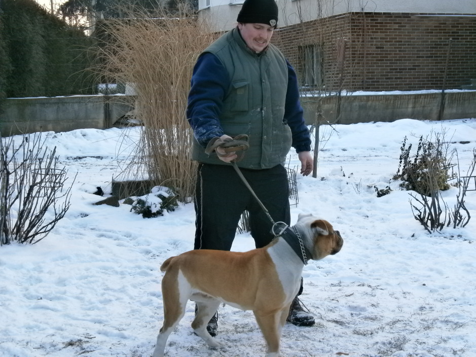 Energybull kennel-zima 2012 10